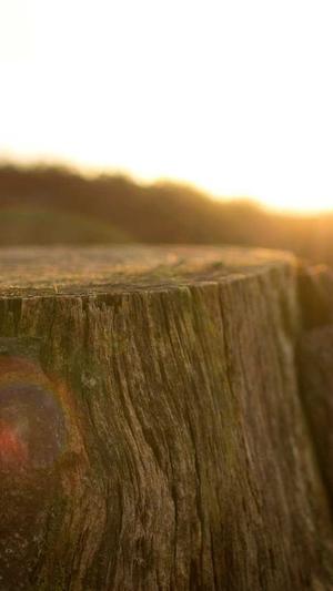 lucas黄旭熙黑料截图2