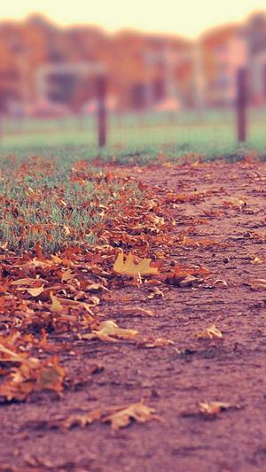 田曦薇黑料截图4