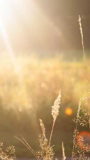 黑料正能量最新网址截图3