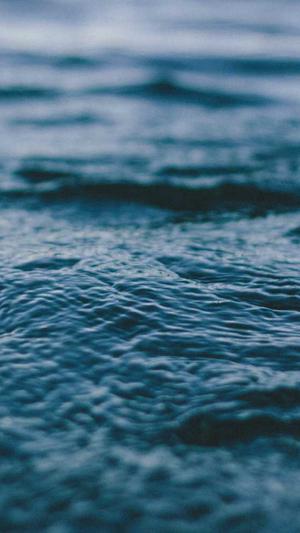 51吃瓜下载截图2