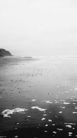 狗狗可以吃哈密瓜么截图4