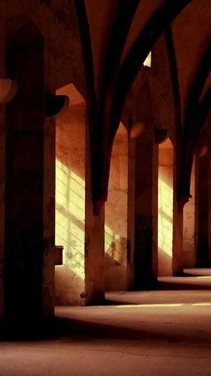 全网吃瓜app截图5