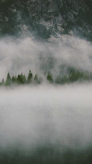 黑料不打烊直接入口截图5