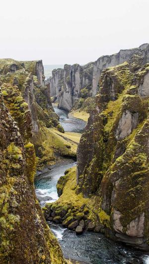 黑料正能量网站截图3