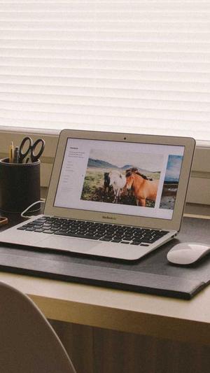 黑料正能量网站没了截图1