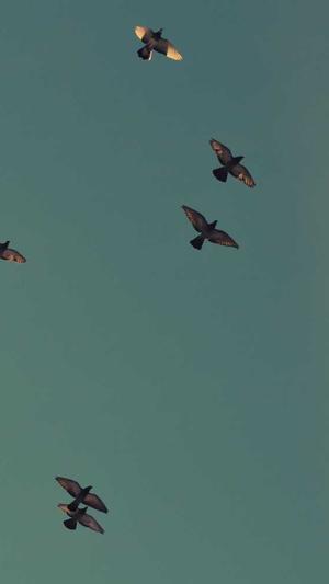 吃瓜吃瓜网截图2