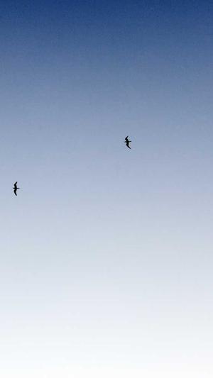 吃瓜吃瓜网截图1