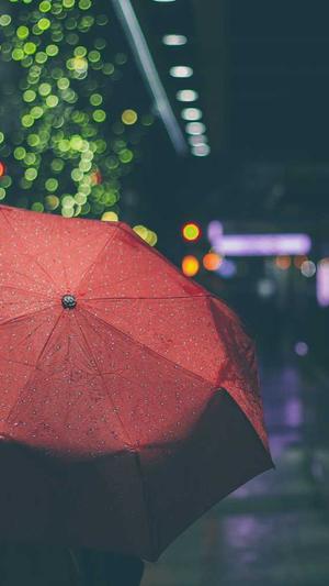 网红黑料不打烊收藏截图3