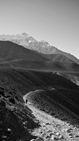 金智妮黑料截图2