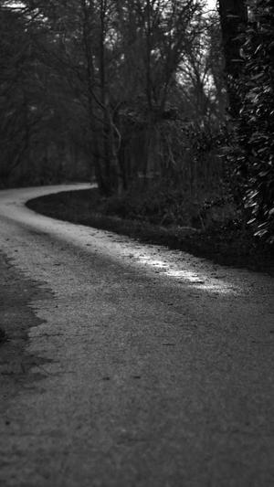 黑料不打烊被和谐了截图2