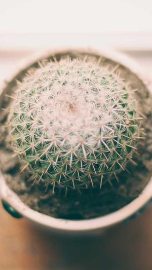 女配吃瓜日常截图1