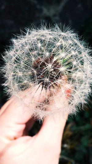 今日吃瓜51cg热门大瓜截图5