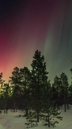 ccgg今日吃瓜截图3