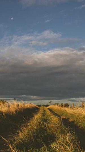 林俊杰黑料截图3