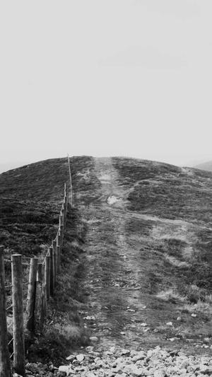 吃瓜张津瑜截图3