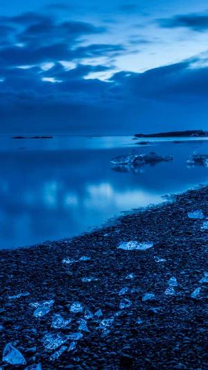 靠黑料红的主播截图4