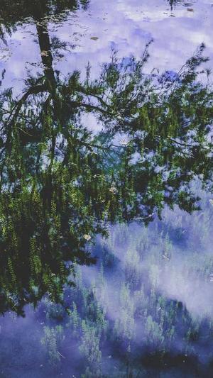 怀孕早期可以吃哈密瓜吗截图3