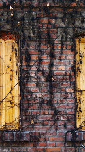 吃瓜群众影院截图4