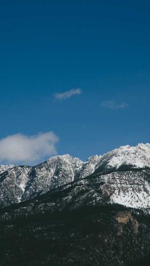 吃瓜社群成功案例分析截图1