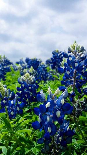 就是阿朱黑料截图2