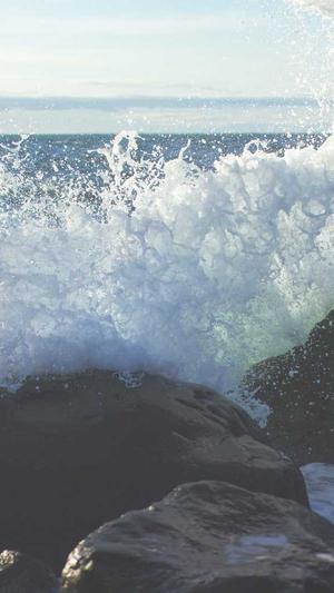 黑料网黑料不打烊截图1