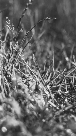 黑料不打烊地址截图4