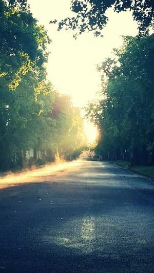 黑料不打烊网站截图4