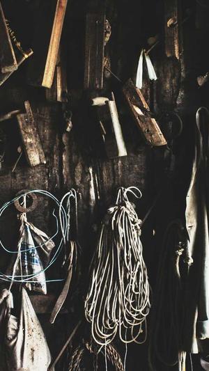 鞠婧祎黑料截图4