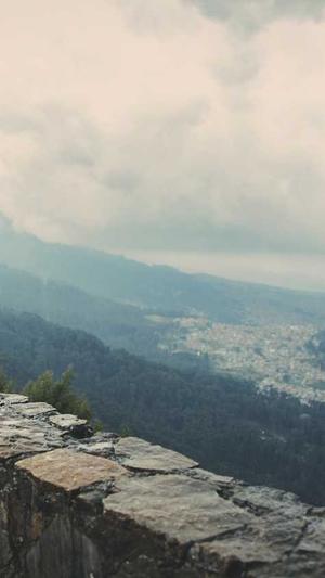 大姨妈可以吃哈密瓜截图1