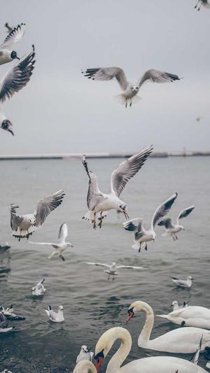 黑料不打烊so截图4