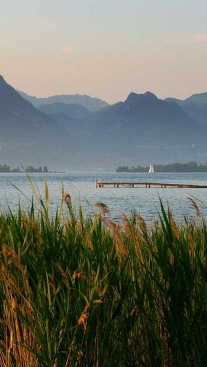 范丞丞黑料截图2