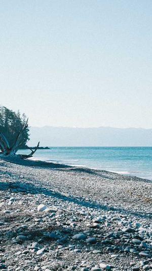 谁有黑料网站截图3