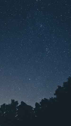 瓜不能和什么一起吃截图4