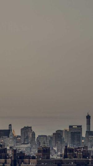 豆瓣吃瓜组基地截图1