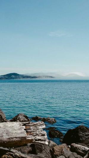 万里长征篇黑料不打烊打不开了截图4