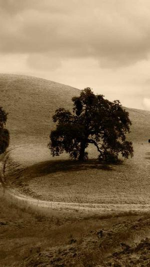 芒果和哈密瓜能一起吃吗截图3